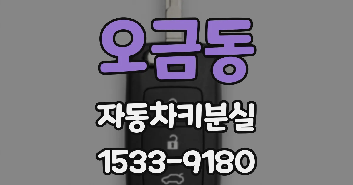 오금동 자동차키분실