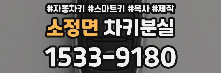 소정면 차키분실