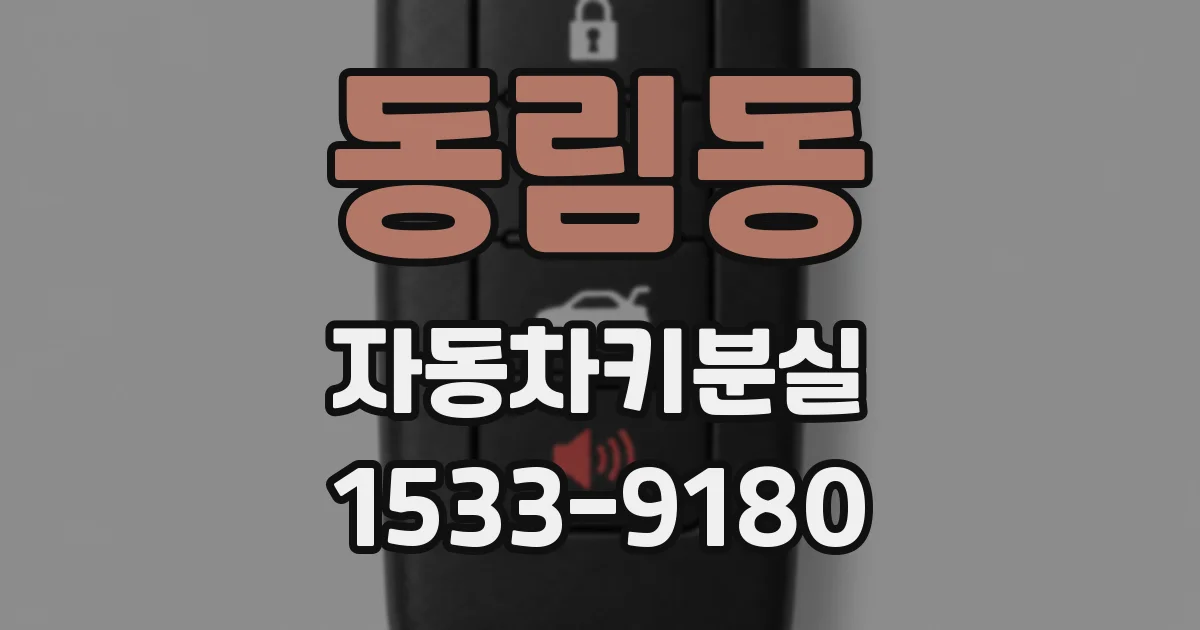 동림동 자동차키분실