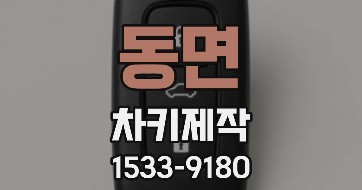 동면 차키제작