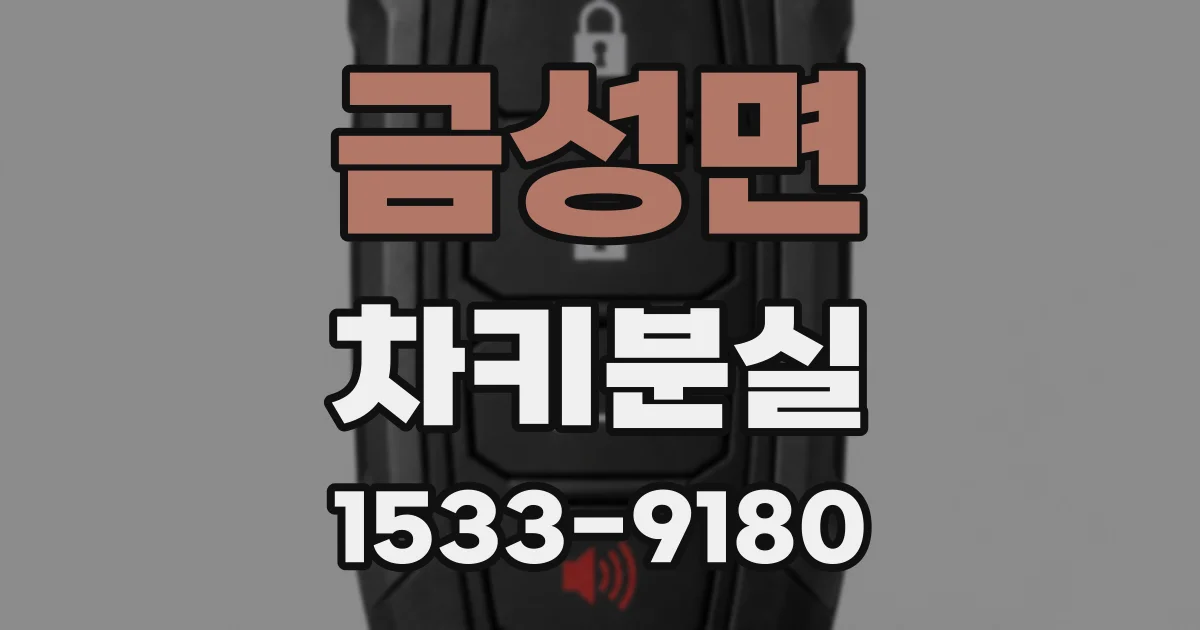 금성면 차키분실