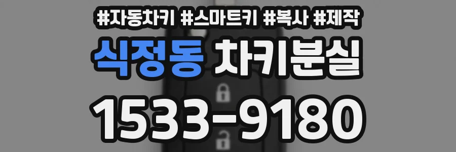 식정동 차키분실