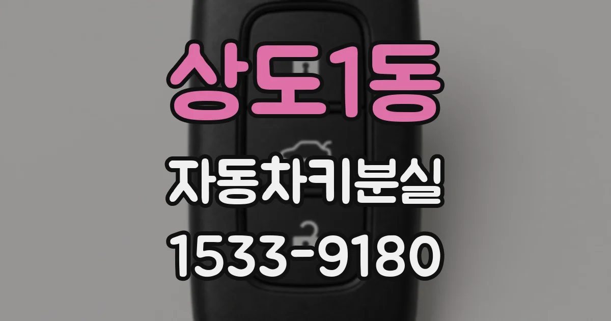 상도1동 자동차키분실