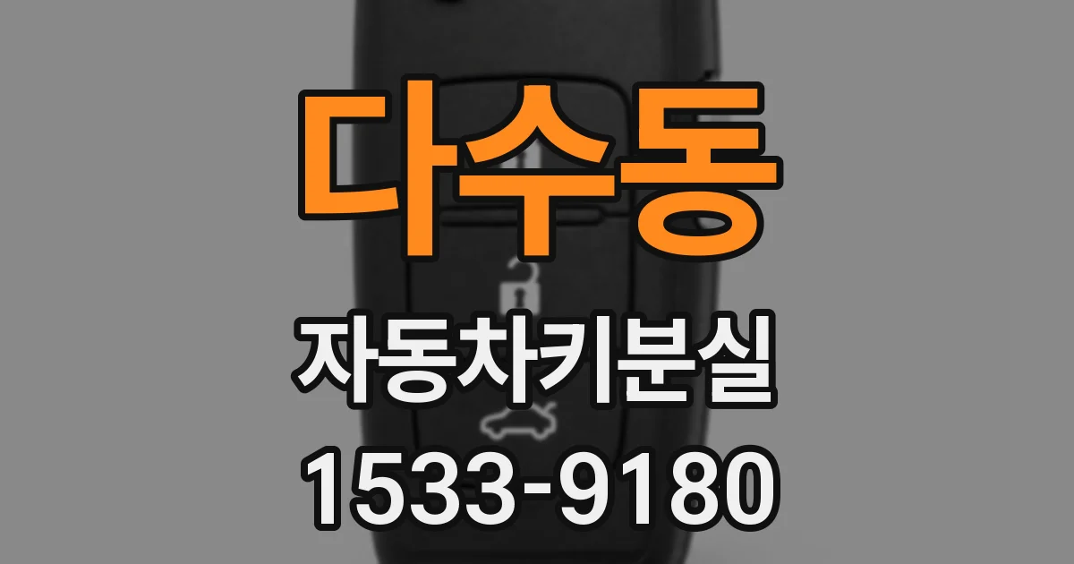 다수동 자동차키분실