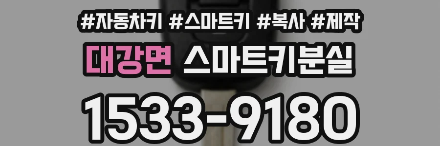 대강면 스마트키분실