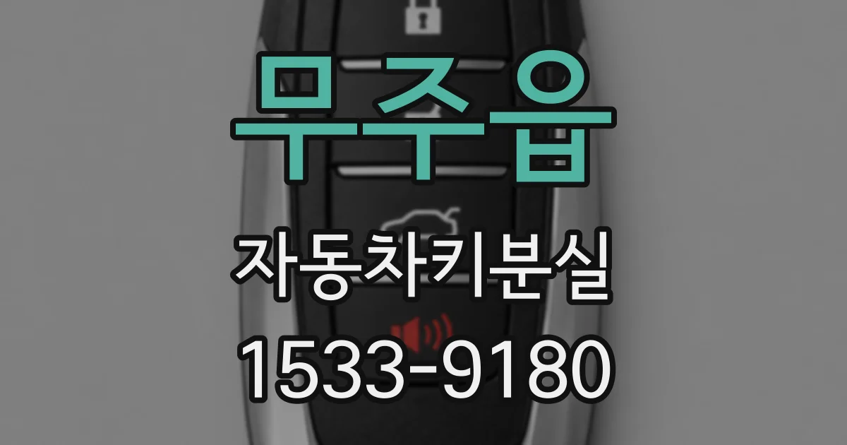 무주읍 자동차키분실