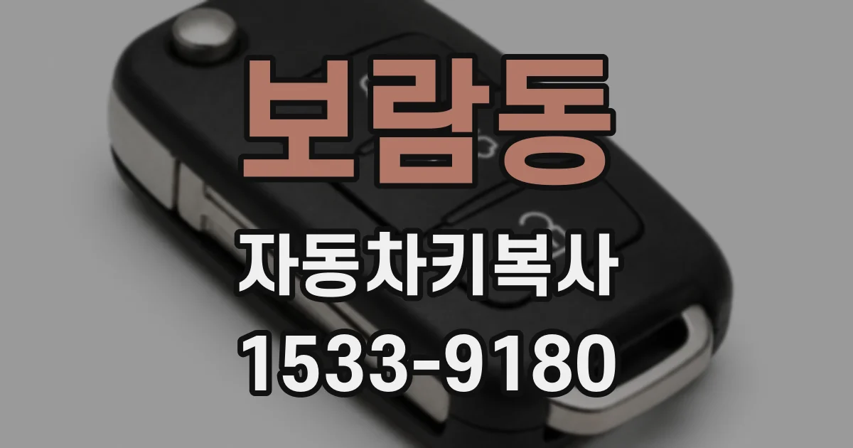 보람동 자동차키복사