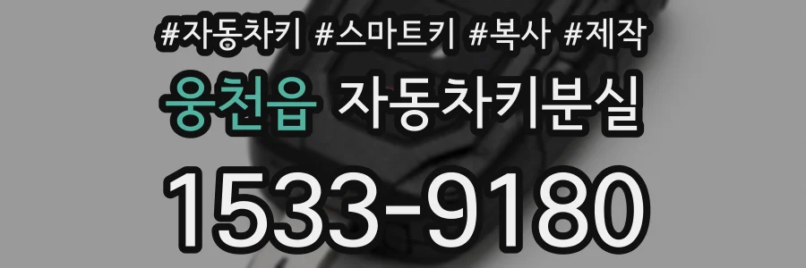 웅천읍 자동차키분실