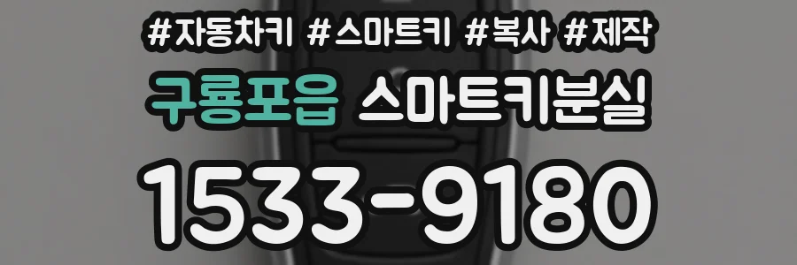 구룡포읍 스마트키분실