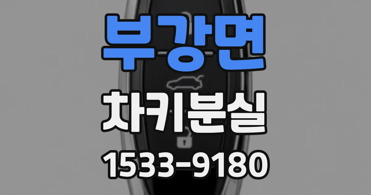 부강면 차키분실