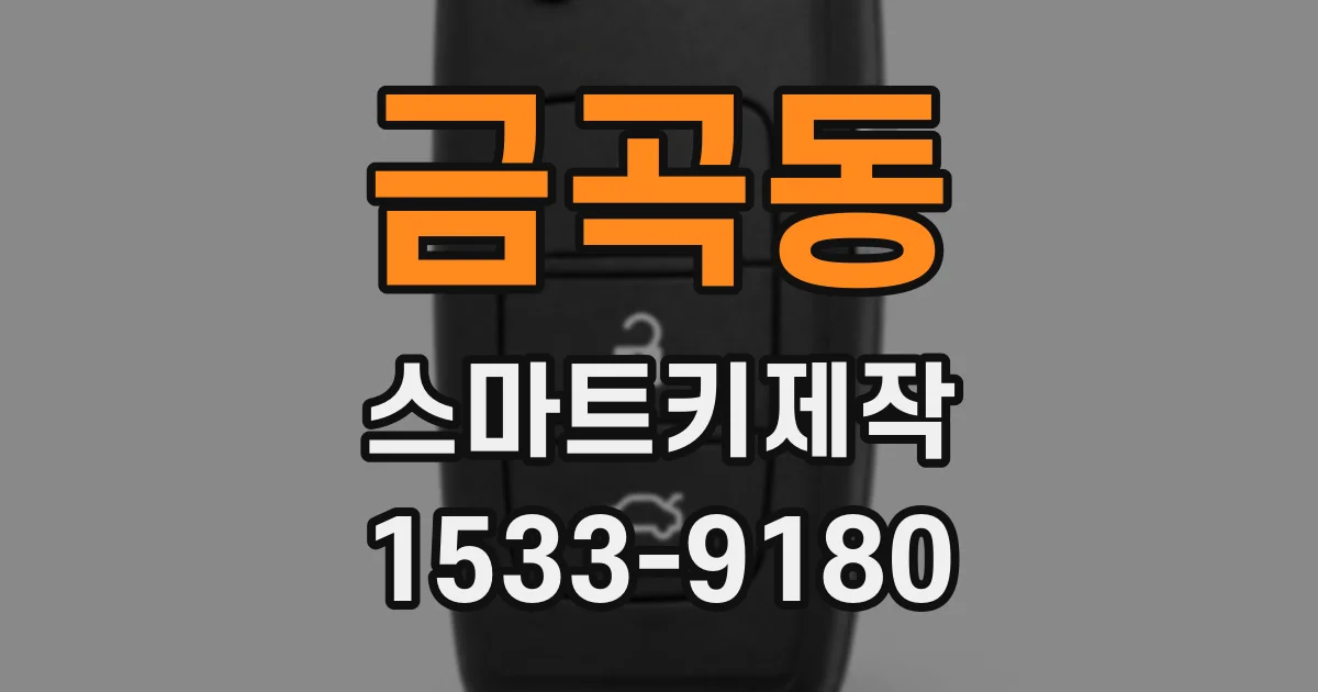 금곡동 스마트키제작