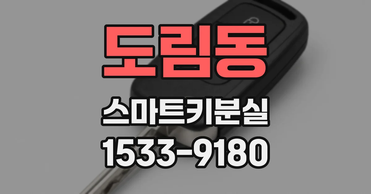 도림동 스마트키분실