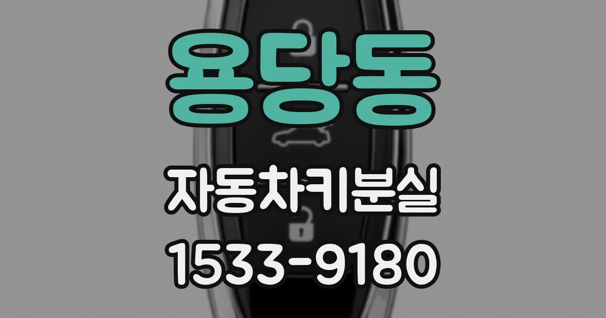 용당동 자동차키분실