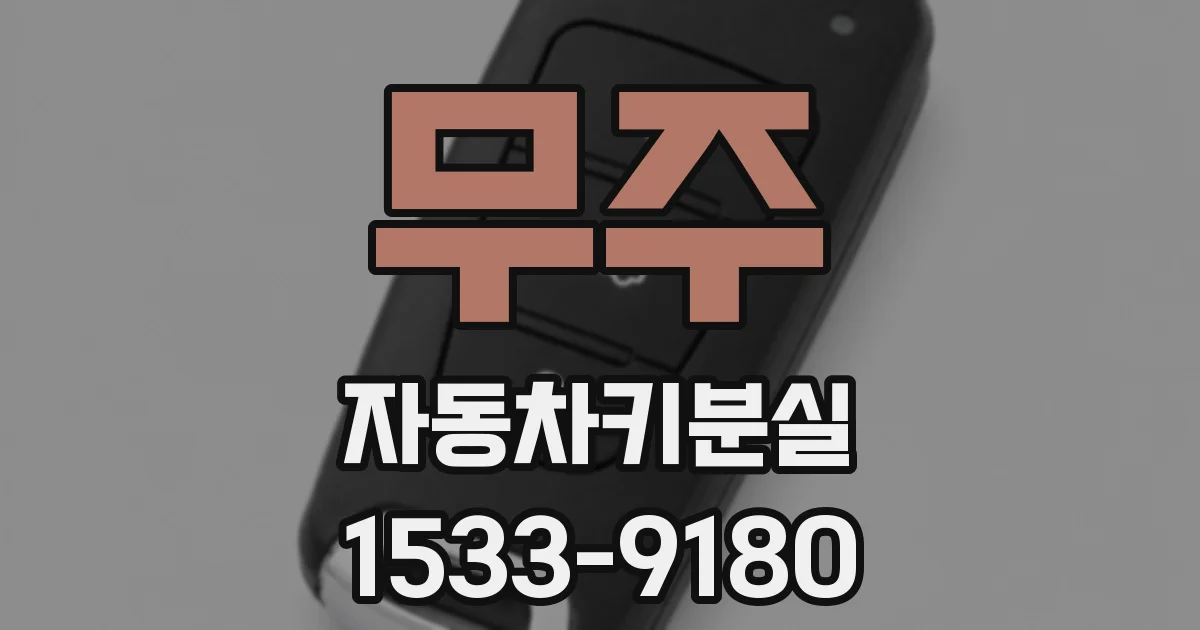 무주 자동차키분실