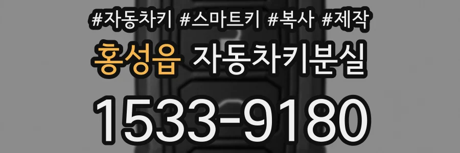 홍성읍 자동차키분실