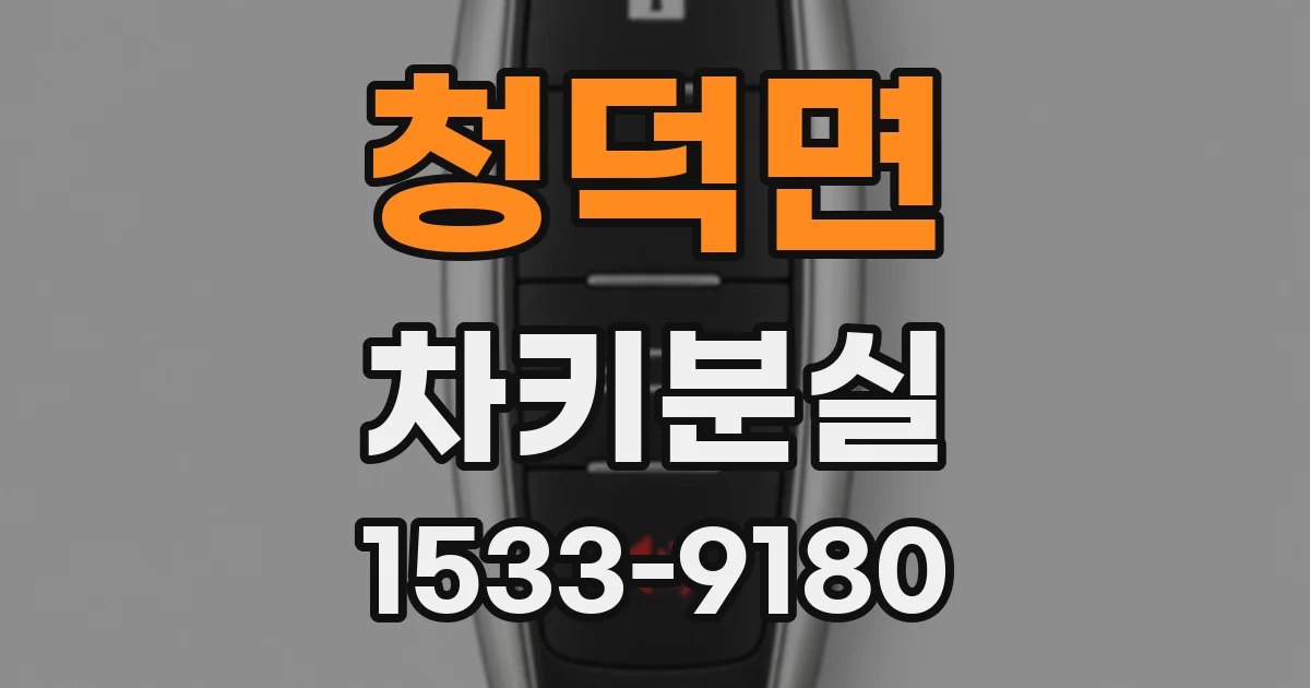 청덕면 차키분실