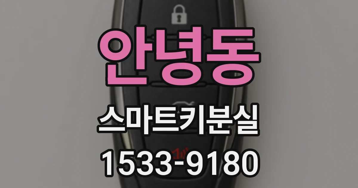 안녕동 스마트키분실