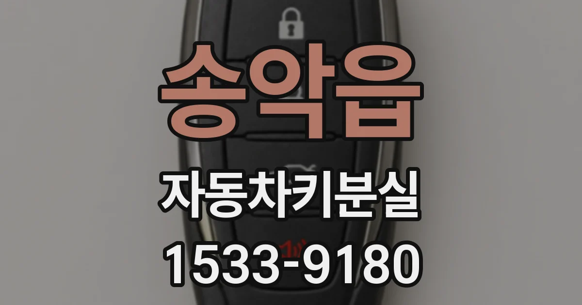 송악읍 자동차키분실