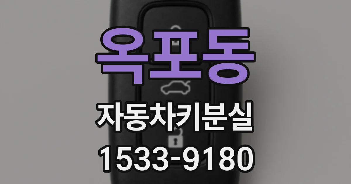 옥포동 자동차키분실