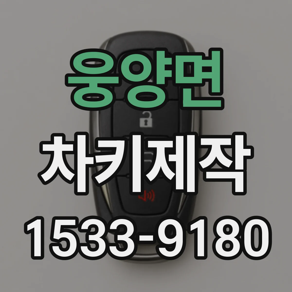 웅양면 차키제작