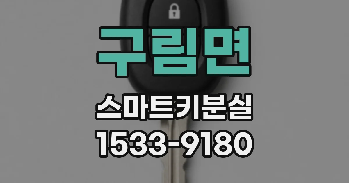 구림면 스마트키분실