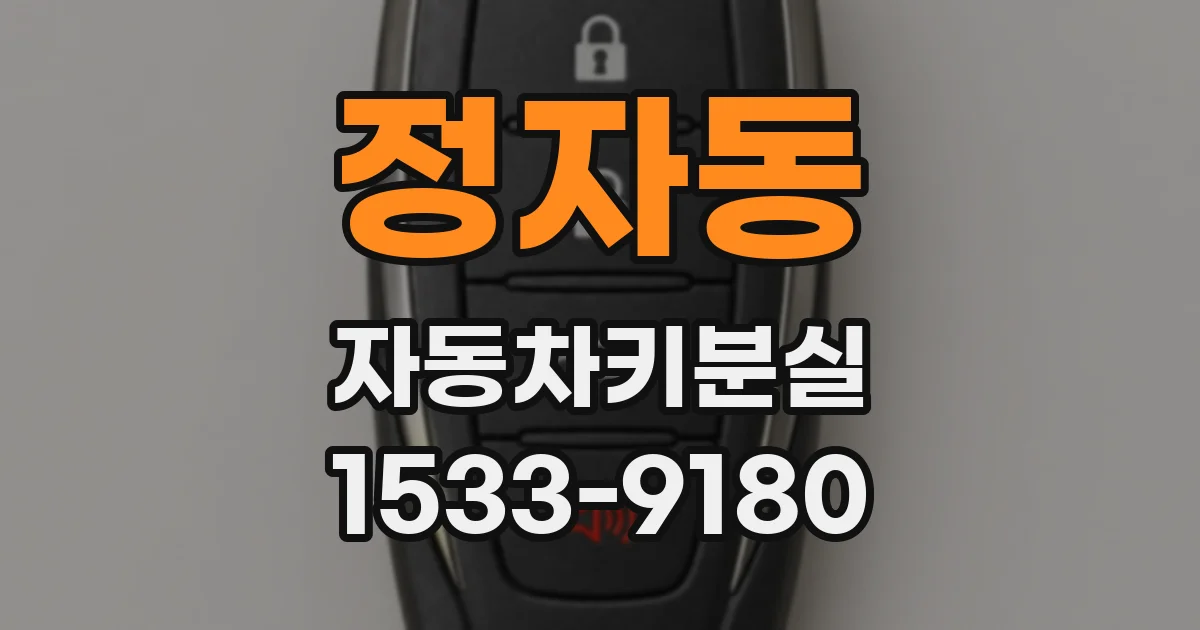 정자동 자동차키분실