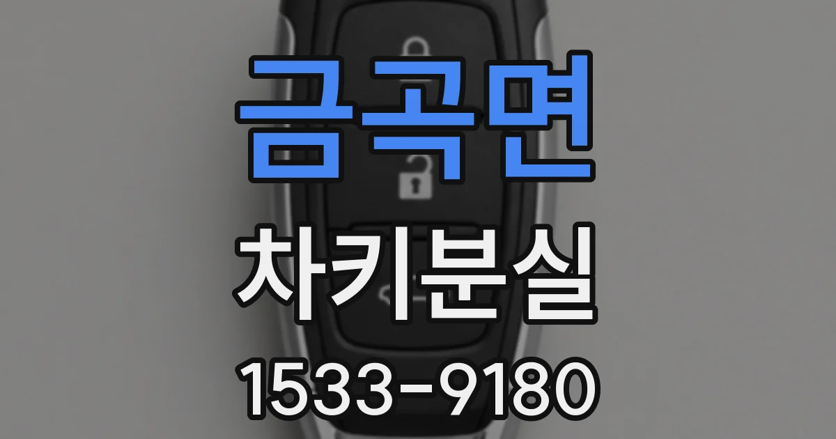 금곡면 차키분실
