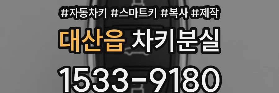 대산읍 차키분실