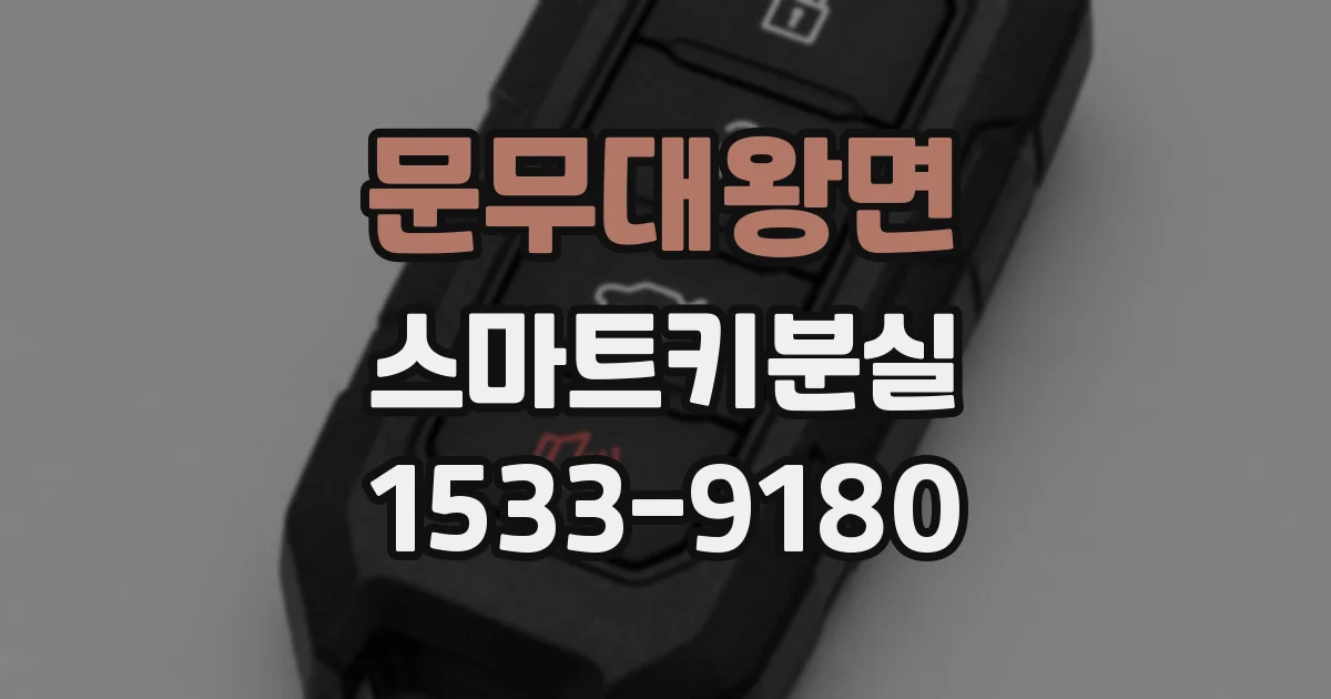 문무대왕면 스마트키분실