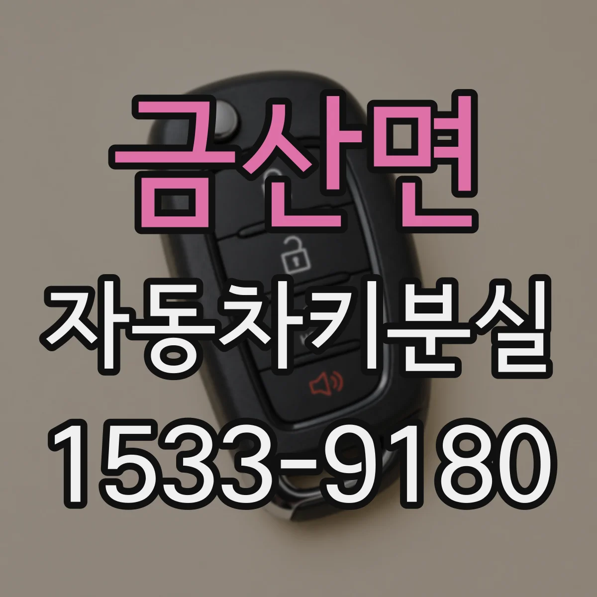 금산면 자동차키분실