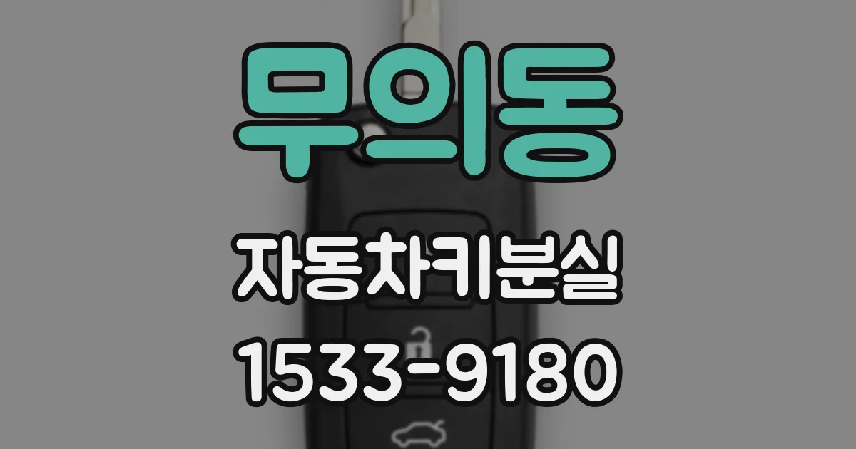 무의동 자동차키분실