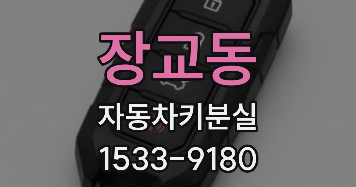 장교동 자동차키분실