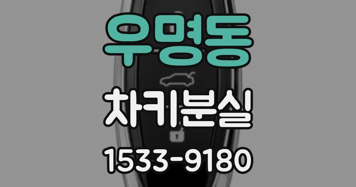 우명동 차키분실