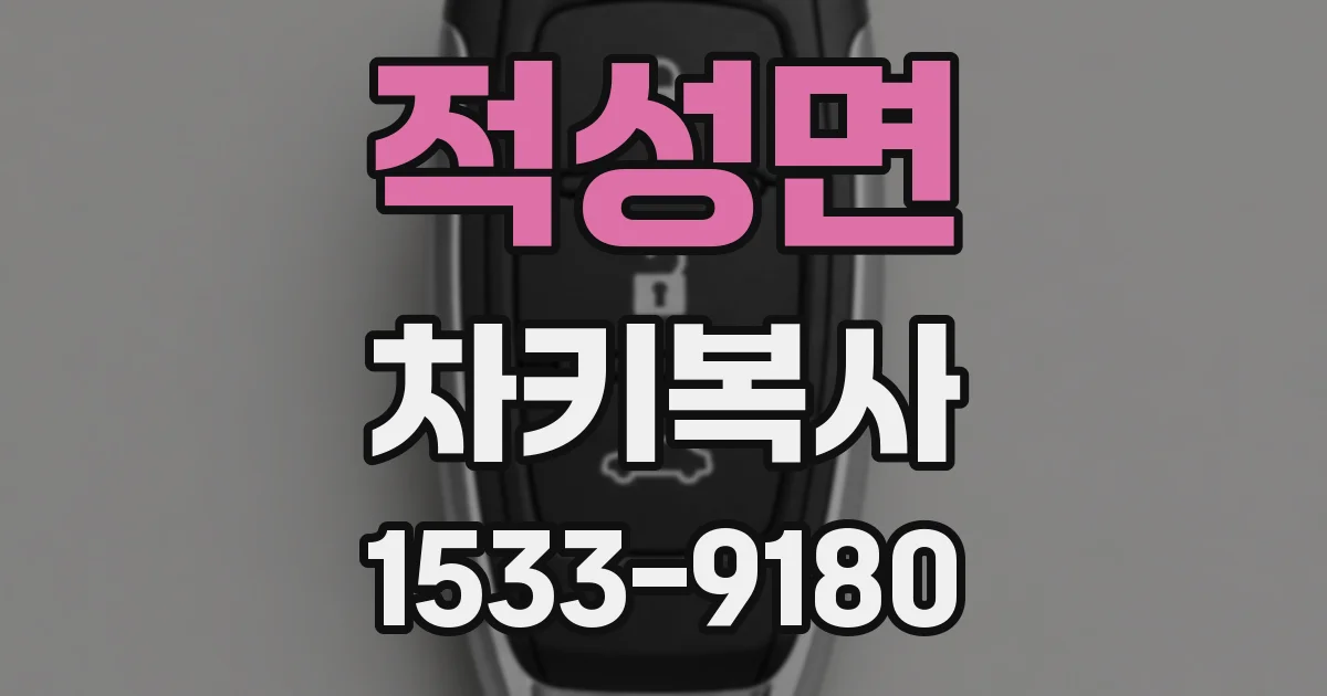 적성면 차키복사