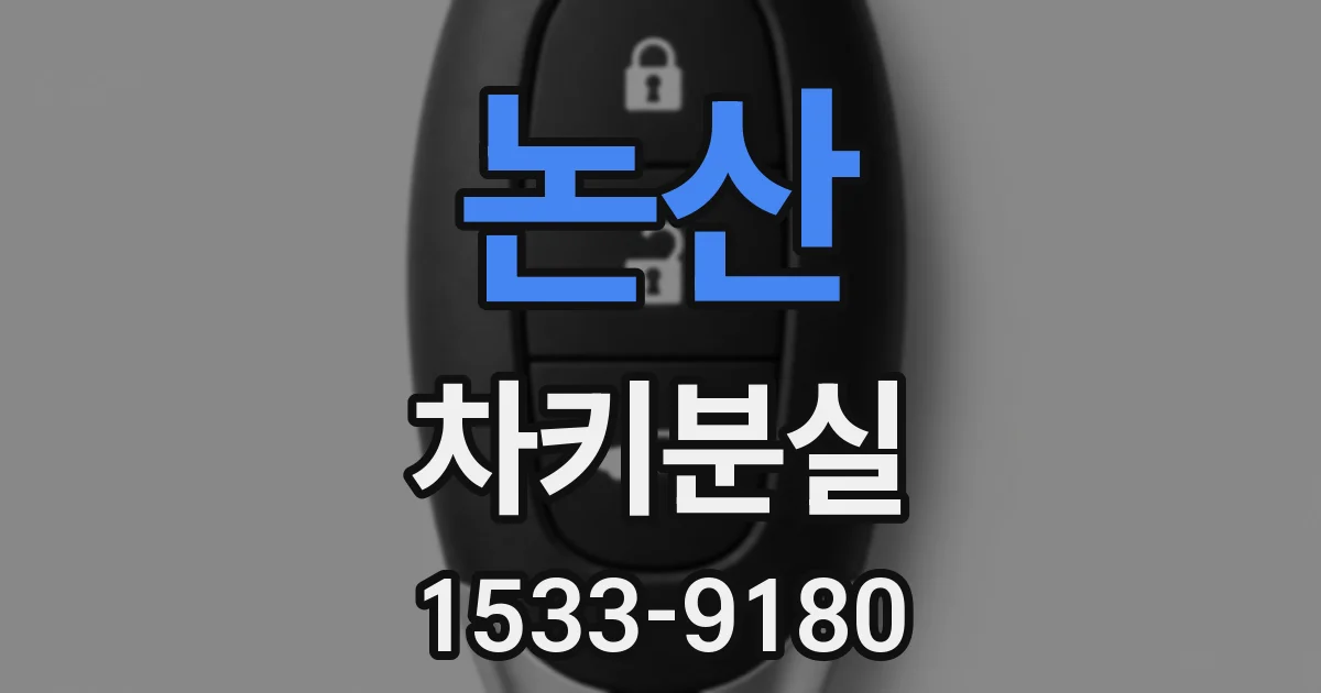 논산 차키분실