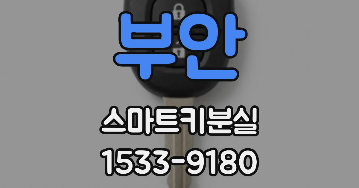 부안 스마트키분실