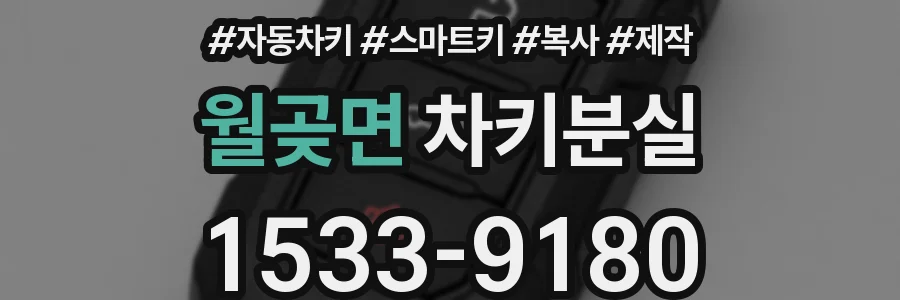 월곶면 차키분실