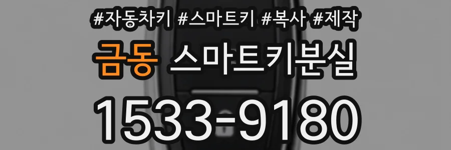 금동 스마트키분실