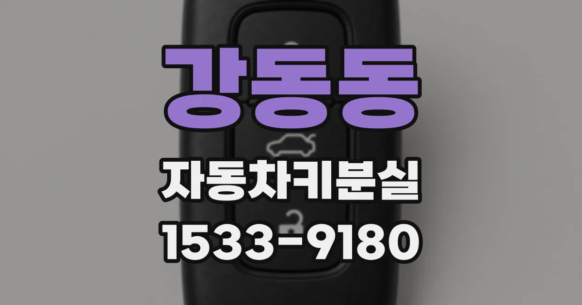 강동동 자동차키분실
