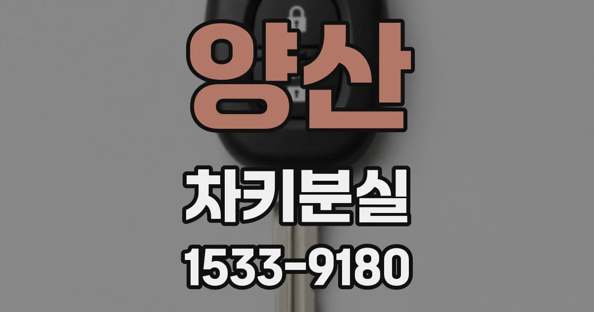 양산 차키분실