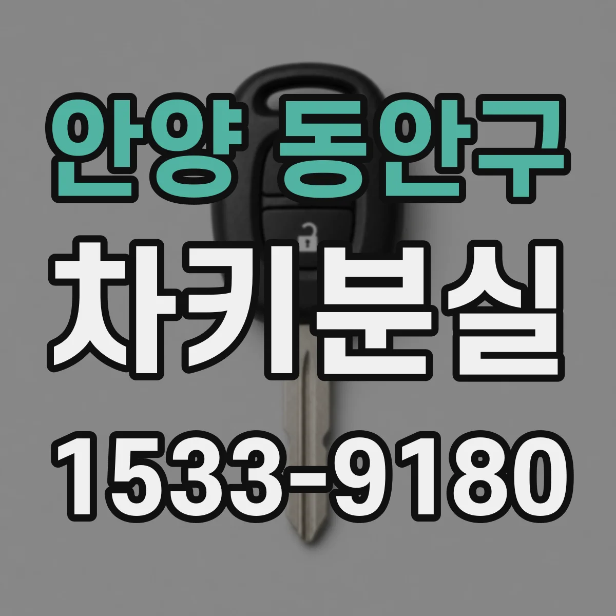 안양 동안구 차키분실