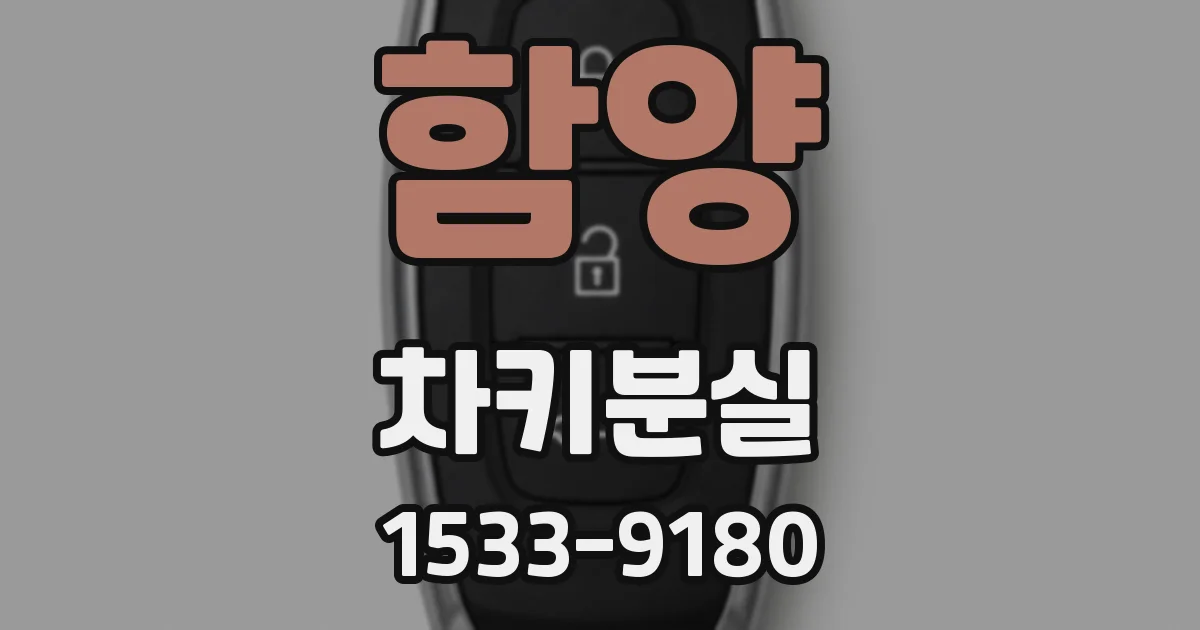 함양 차키분실
