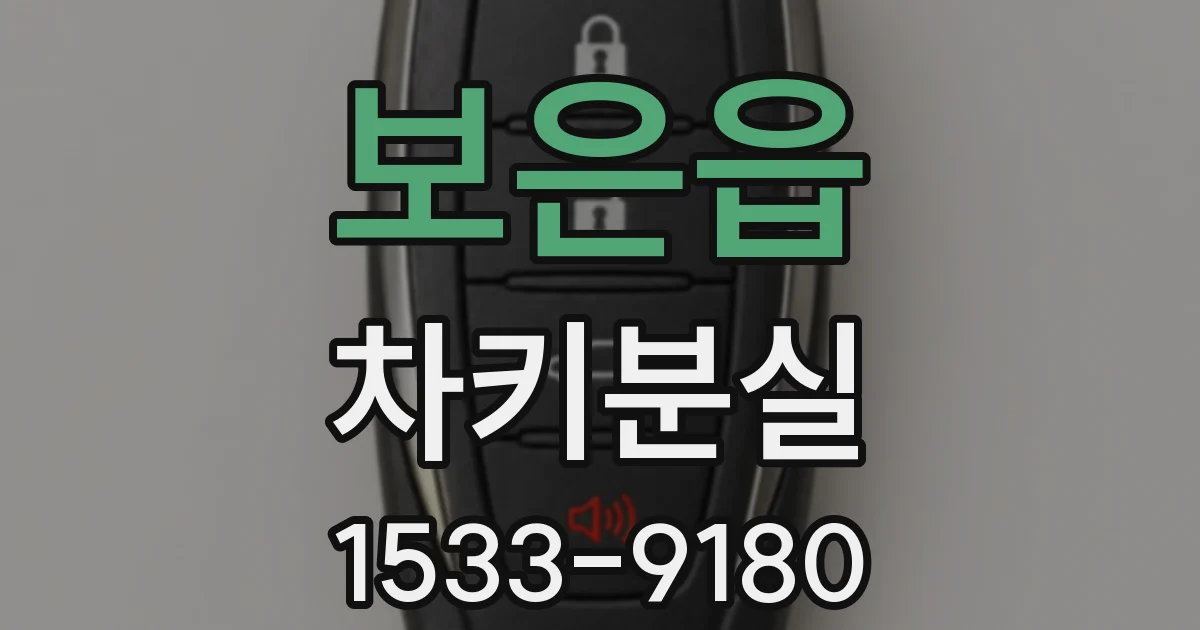 보은읍 차키분실