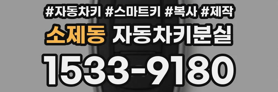 소제동 자동차키분실