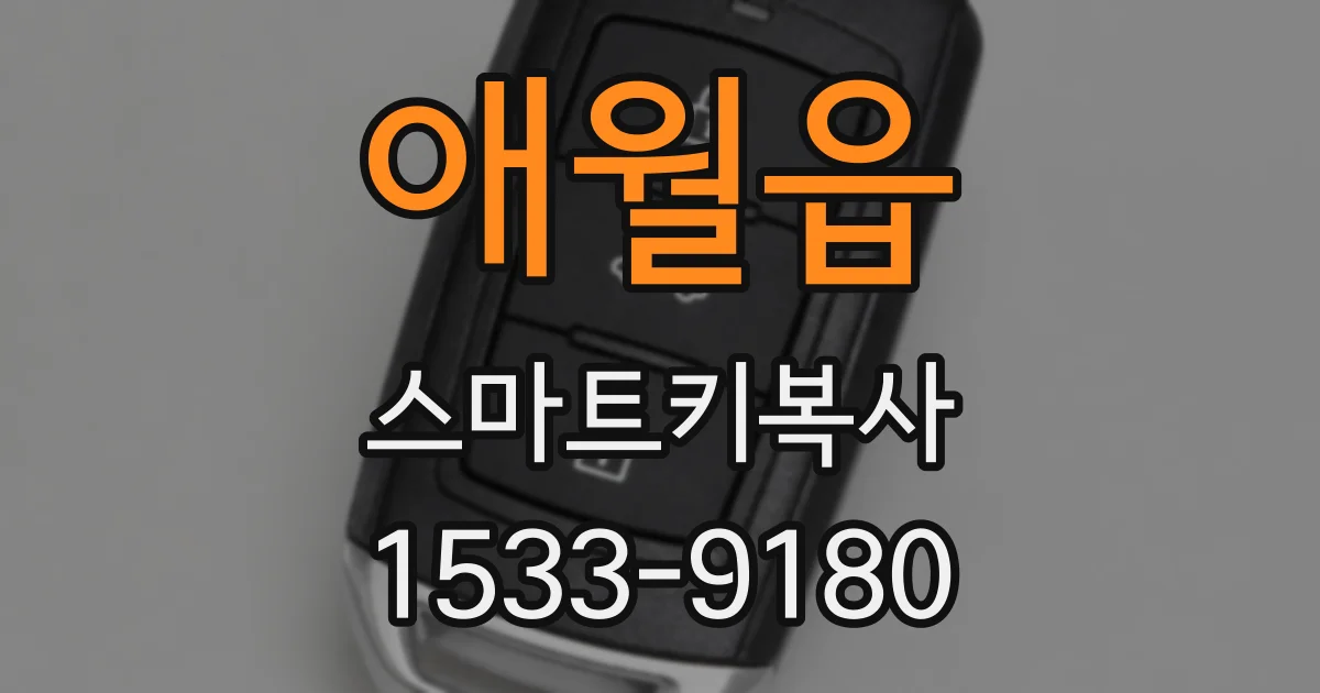 애월읍 스마트키복사