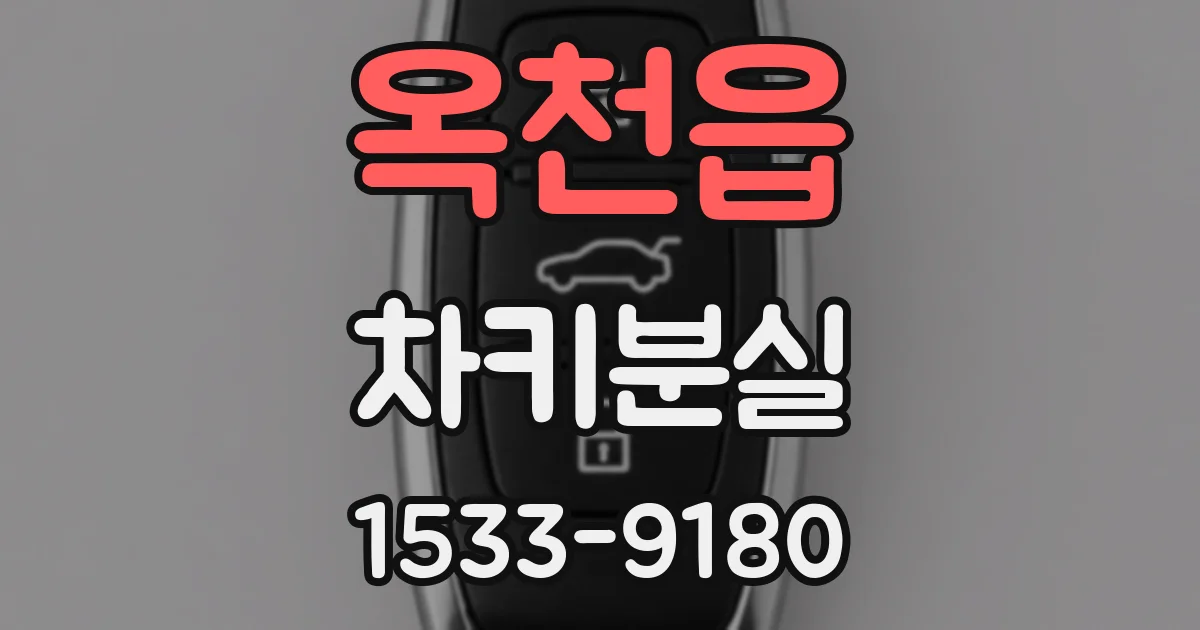 옥천읍 차키분실