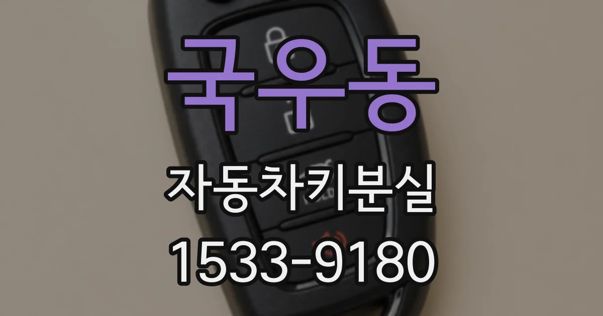 국우동 자동차키분실
