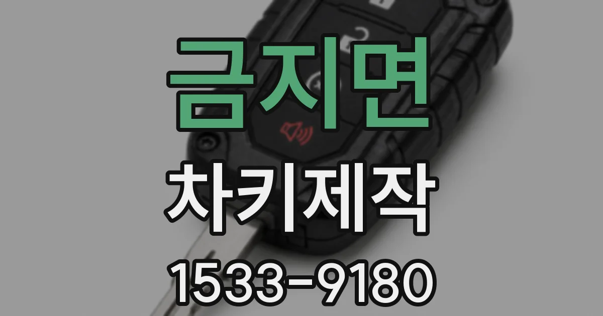 금지면 차키제작