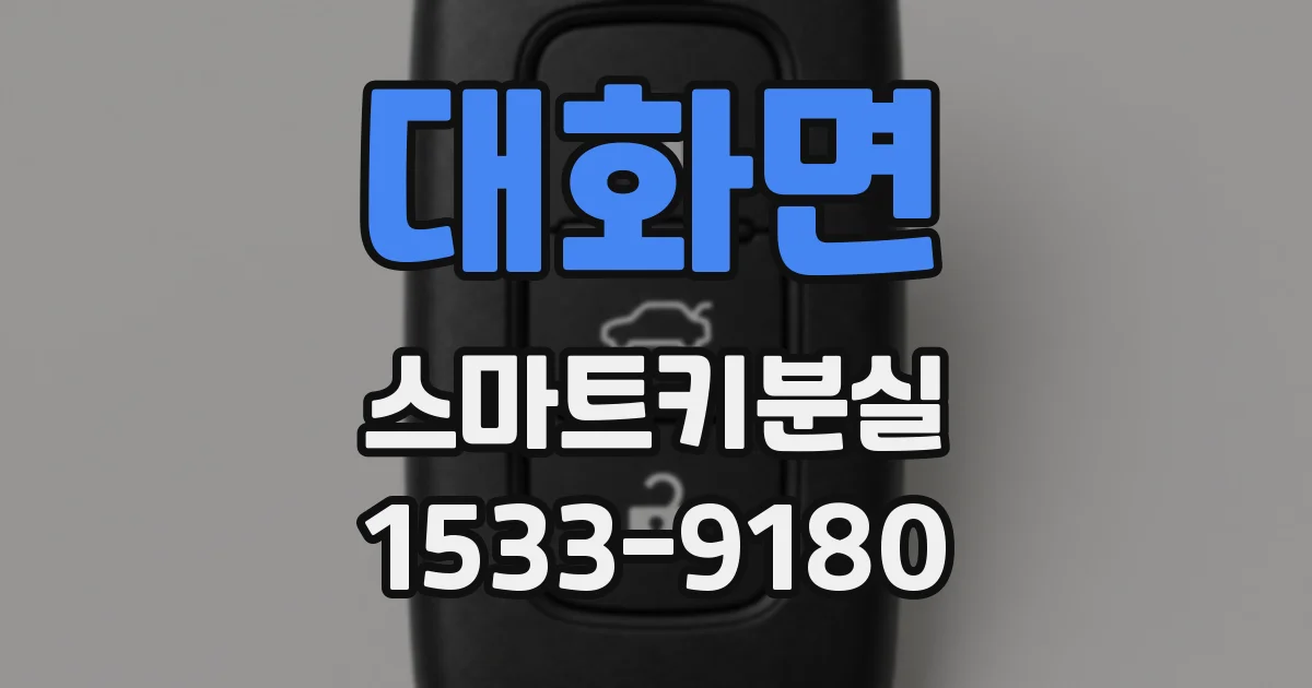 대화면 스마트키분실
