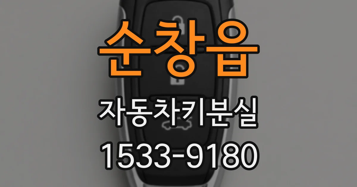 순창읍 자동차키분실